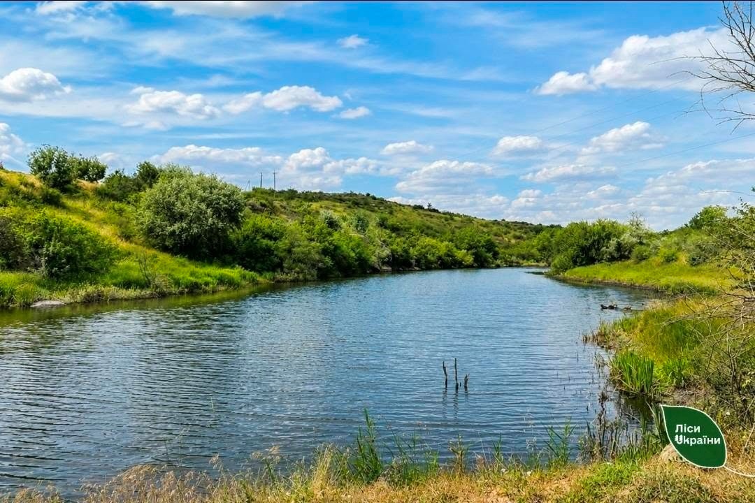 У Трикратському лісі створюють перший на півдні України велосипедний маршрут
