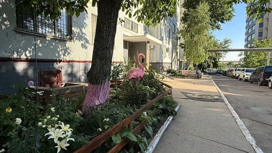 Як без бюджетних коштів і дорогих підрядників навели лад: історія одного двору у Південноукраїнську