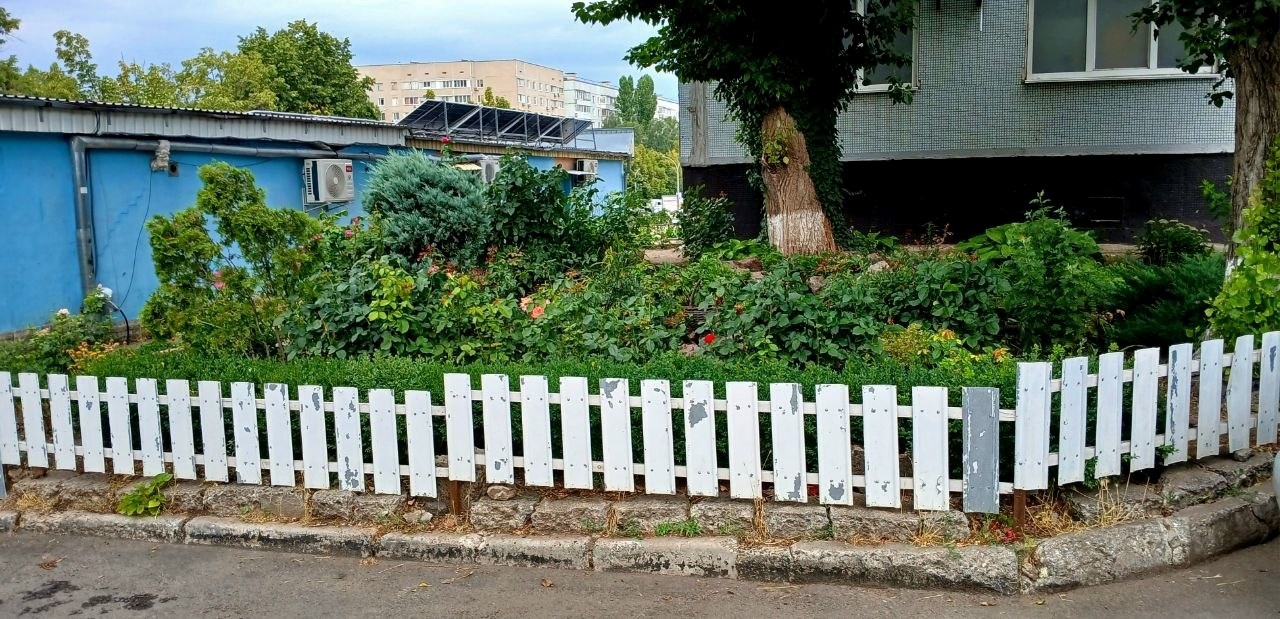 Понад 100 сортів троянд та багато інших рослин Лариса Петрова висадила на клумбах свого двору