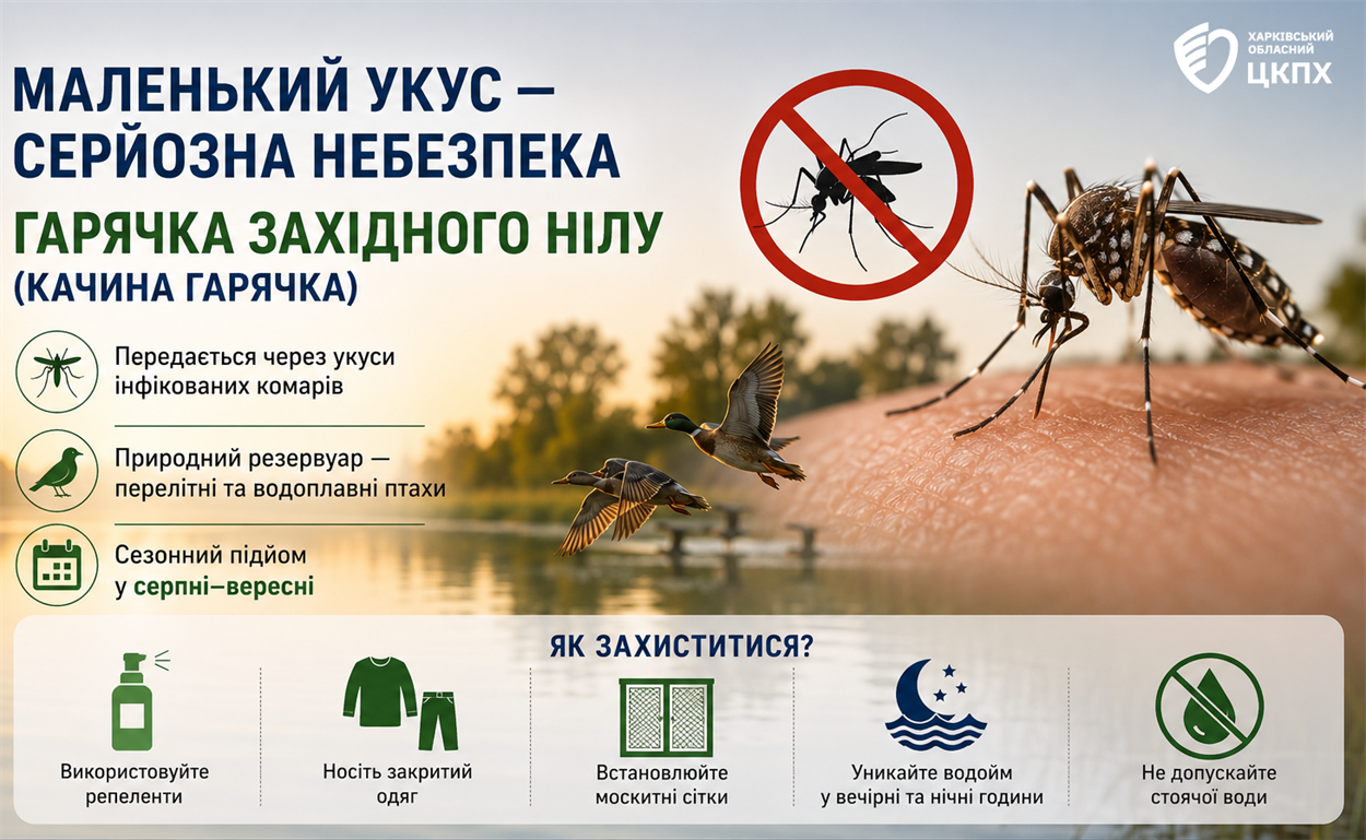 Укус звичайного комара може призвести до менінгіту: що варто знати про гарячку Західного Нілу