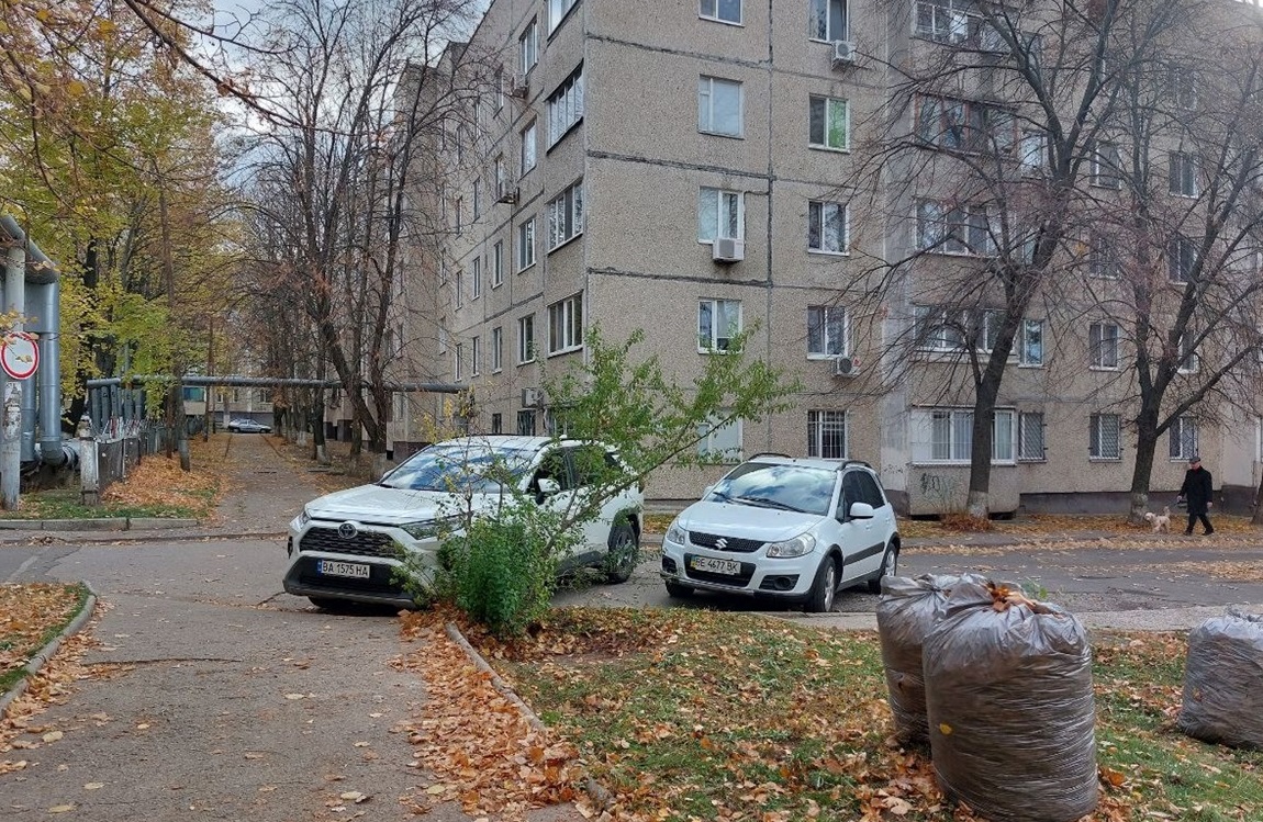 Наступного дня ми зафіксували, як безтурботний власник припаркував свою автівку так, як Альона розповідала.